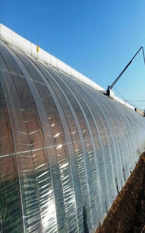 Agriculture Greenhouse Vegetables Farming Equipment Film Plastic Agriculture Green House Uv Protection