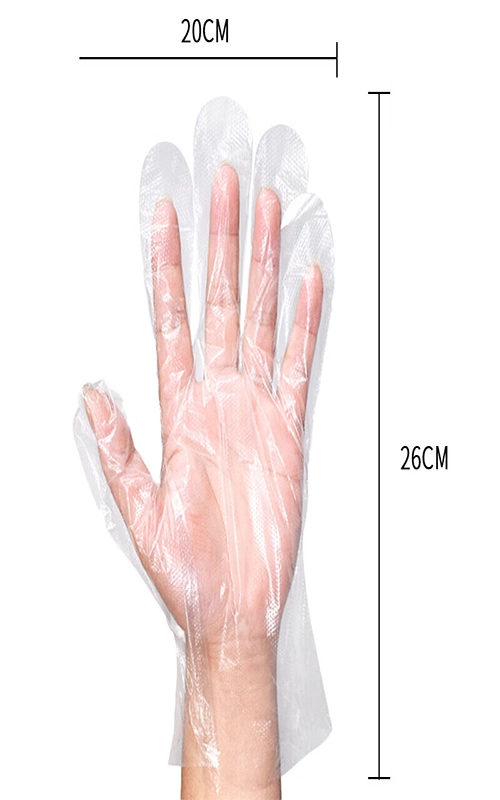 Disposable Plastic Gloves